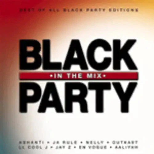 Various - Black in the Mix Party - Bild 1 von 1