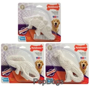 1 Nylabone ZAHNDINOSAURIER riesiges robustes Kauspielzeug Hundespielzeug - Bild 1 von 1