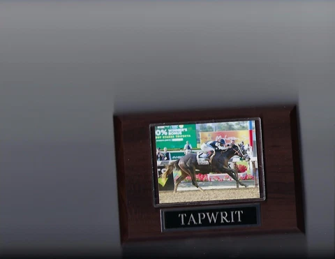 TAPWRIT PLAQUE HORSE RACING TURF Cover