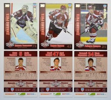 2010-11 KHL Dinamo Riga GOLD Pick a Player Card
