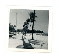 Kuhio  Honolulu,  Hawaii  street view vintage snapshot found  photo