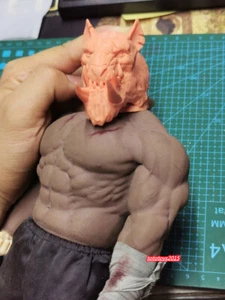 1:6 Rabid Tiger Animal Soldier Head Sculpt For 12" Male Action Figure Body Toys - Picture 1 of 7