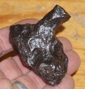 SUPERB 308g CAMPO DEL CIELO IRON METEORITE COVERED IN THUMBPRINTS! AAA+ - Picture 1 of 8