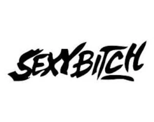 6" Sexy Bitch Decal Offensive Funny Humor XXX Adult JDM Racing Sexy 2A Meme noBS - Picture 1 of 1