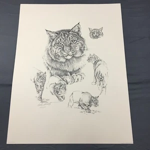 Charles W Schwartz Signed Print Lynx Wildcat 30x23" Vintage 1981 #'d 449/500 - Picture 1 of 7