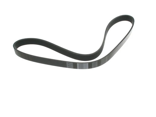 Cinturón multi costilla para Toyota Camry 1992-2006 1997 1999 1996 2000 2002 1995 XF885FS Foto 1 de 1