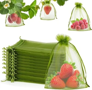 100Pcs Fruit Protection Bags, 4''×6'' Fruit Netting Bags for Fruit Trees Green - Picture 1 of 7