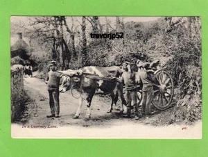 Bullock Cart Guernsey Lane Rural unused pc J Welch & Sons Ref A878 - Picture 1 of 1