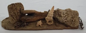Driftwood, Sea Shell, Coral - Art sculpture Décor - Ocean Beach Nautical - Picture 1 of 9