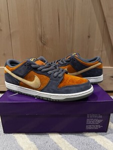 Size 11 - Nike Dunk SB Low Light Carbon Monarch HF3063-002 In Hand