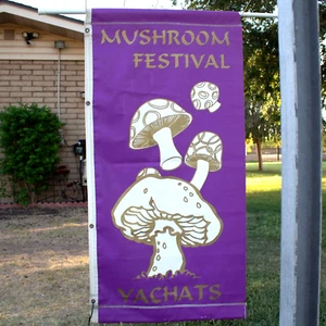 Bandera publicitaria psicodélica Yachats Mushroom Festival años 90 00 vintage - Imagen 1 de 24