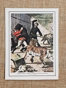 Figurina originale La Domenica del Corriere 1908 Parigi Orso uccide domatore Alf - Picture 1 of 1
