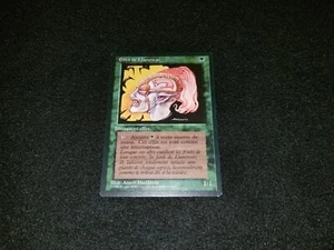 MTG 1x Revised green common LP French FBB Llanowar Elves ships w/ tracking - Picture 1 of 2