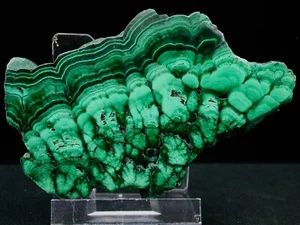 MALACHITE, TRANCHE POLIE SUR LES 2 FACES - KATANGA, CONGO - 7,5 x 4,5 cm - 72 g - Foto 1 di 6
