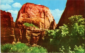 GREAT WHITE THRONE, ZION NATIONAL PARK, UTAH POST CARD - Picture 1 of 2