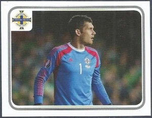 PANINI NORTHERN IRELAND STICKER COLLECTION 2016- #044-MICHAEL McGOVERN - Picture 1 of 1