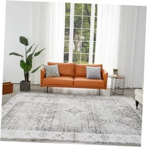 Washable Rug, 9x12 Area Rug for Living Room, Rug with Non-Slip 9'x12' Fg02-gray - Picture 1 of 7
