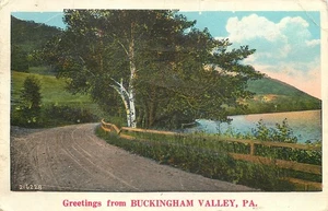 Greetings from Buckingham Valley PA - Paysage idyllique avec bouleau au bord du lac - Photo 1/2