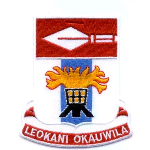 125th Signal Battalion Patch Leokani Okauwila - Picture 1 of 6