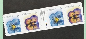 Rare : 2015 - #2811i Coil strip with gutter. Panzies flowers MNH Cv$12.50 - Picture 1 of 1