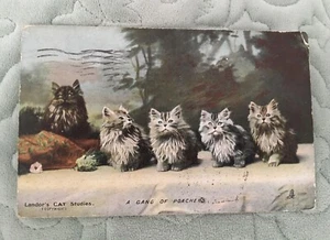 Antigua Postal Raphael Tuck’s Landor’s Cat Studies Fotocromática Serie 6496 - Imagen 1 de 7