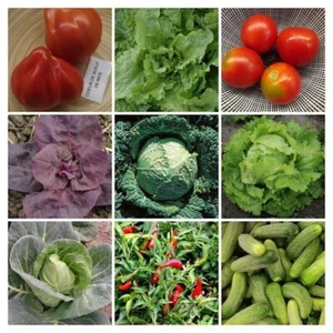 GARDEN VEGETABLE PACKAGE FROM FRANCE - SORTIMENT - 9 variety - 230+ seeds -V 117 - Picture 1 of 1