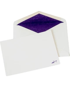 Neu Set 12 Mrs. John L. Strong Schreibwaren mit Umschlägen Absatz Schuh Papier Schreibtisch - Bild 1 von 12