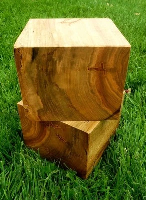 AMERICAN 2) 6"×6"×5" Spalted Maple Turning Blanks Thick wood blocks. Salad Bowl Carving