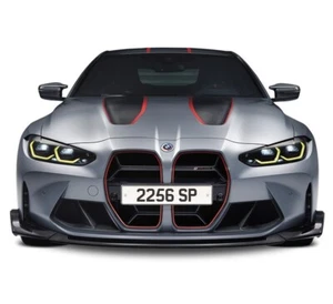 Private Number Plate: 2256 SP - Picture 1 of 1