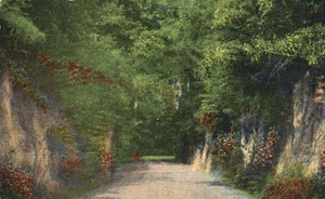 Natchez Trace Natchez Mississippi to Nasville Tennessee circa 1938 Postcard - Picture 1 of 2