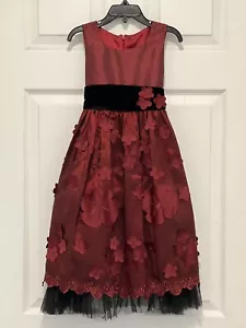 Nordstroms Girl’s Size 4 Wedding/Party dress Burgundy - Picture 1 of 11