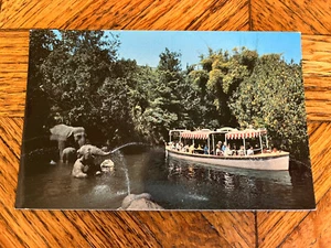 Vintage Disneyland Elephant Bathing Pool Post Card - Picture 1 of 2