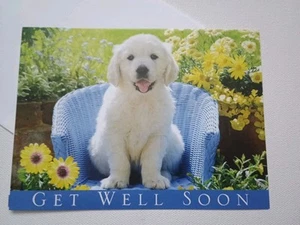 Get Well Soon Greeting Card with Matching Envlp White Puppy Dog Flowers Yellow - Picture 1 of 7