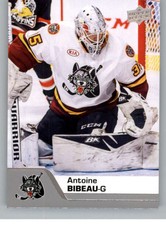 2020-21 Upper Deck AHL Hockey Base & SP Trading Cards (Pick Your Cards)
