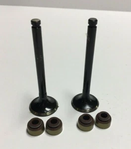 Club Car Exhaust Valve 1016448 / Valve Stem Seal 1014566 - Picture 1 of 1