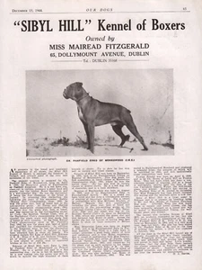 BOXER HUNDERASSEHÜTTE WERBUNG DRUCKSEITE SIBYL HILL KENNEL UNSERE HUNDE 1944 - Bild 1 von 1