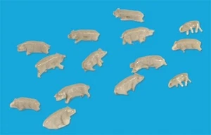 Modelscene 5176 - Model Plastic Pigs Set - N Gauge = 1/148th Scale - RM48P - Picture 1 of 20