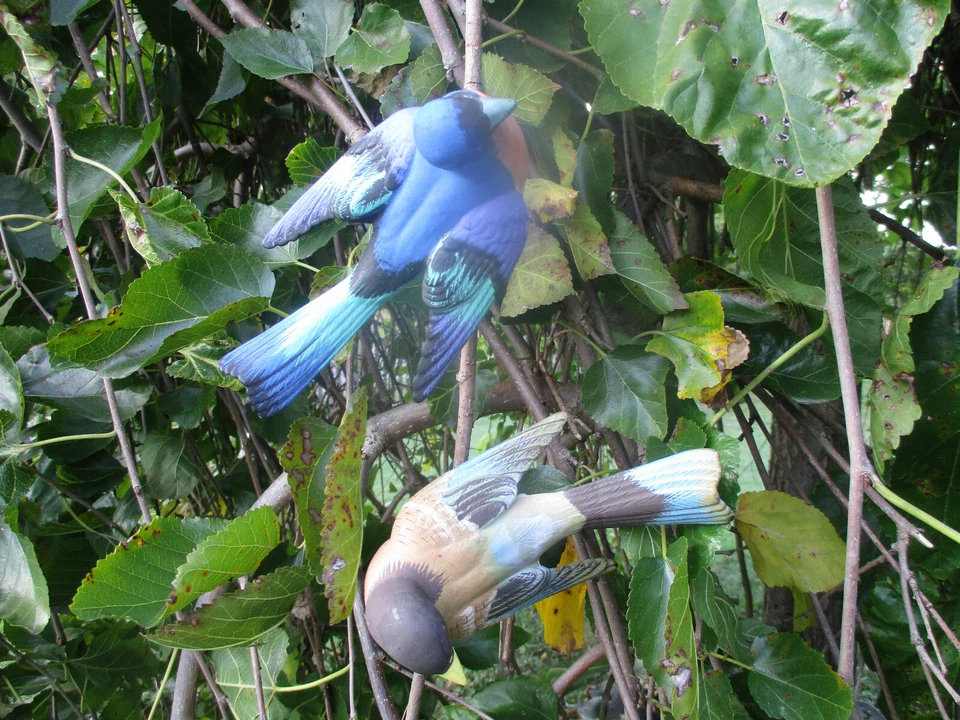  DE COLECCIÓN UCAGCO JAPÓN PORCELANA CERÁMICA CLIP GRANDE PÁJAROS MEDIADOS DE SIGLO ADORNOS Foto 1 de 4