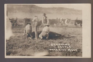 Park City MONTANA RPPC 1911 COWBOYS Cowboy BRANDING CATTLE Cows Cow WILD WEST MT - Picture 1 of 3