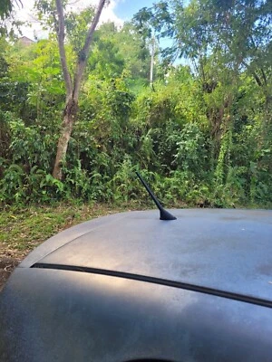 Mástil de antena negro corto de 7" varilla radio AM/FM para TOYOTA YARIS 2007-2018 nuevo Foto 1 de 4
