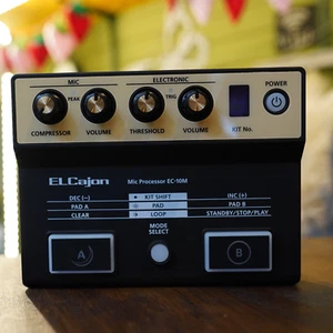 Roland EC-10M El Cajon Microphone Processor - Picture 1 of 10