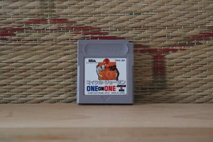 Michael Jordan ONE ON ONE Jordan VS Bird Japan Nintendo Gameboy GB VG! - Picture 1 of 2