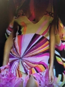 SPECTACULAR COLLECTIBLE Emilio Pucci Silk/Crystals/Ostrich Feather RUNWAY dress - Picture 1 of 12