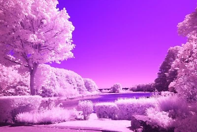 ZWB2 Dual Band Pass filter 77mm SEE VIDEO   full spectrum modified camera UV-IR - Image 1 of 4