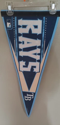 TAMPA BAY RAYS MLB BASEBALL RETRO VINTAGE PENNANT 6/11/22 Cover