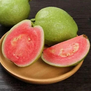 50-300 Semi Di Guava Rosa Psidium Guajava Frutto Biologico Nuovo -- ☆ - Picture 1 of 25
