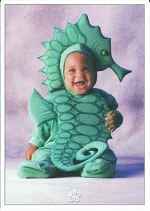 Postcard Baby Seahorse - Picture 1 of 1