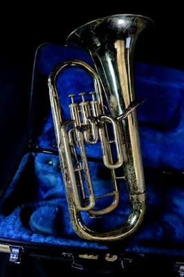 Yamaha YEP-201 Euphonium - Usado, estuche rígido incluido Foto 1 de 4