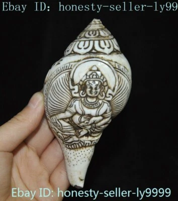 Caracola tallada budismo tibetano antiguo de 4,4" amarilla Jambhala caracola trompeta cuerno concha Foto 1 de 4
