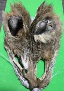 Fly Tying Materials, Tanned Bobcat Mask #004 - Picture 1 of 1